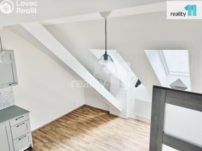 Rent apartment 3+KK Praha 6, Drnovská č. 6