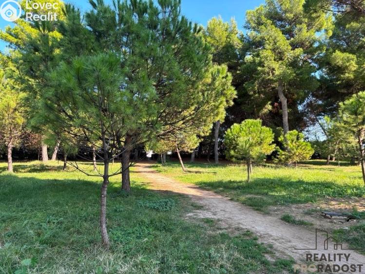 Prodej bytu 3+KK Montesilvano,Itálie č. 15