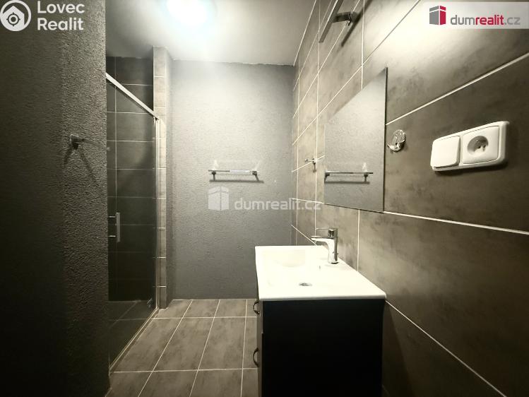 Pronájem bytu 2+KK Modlany č. 10