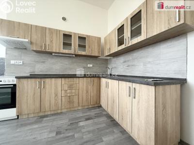 Rent apartment 2+KK Modlany č. 1