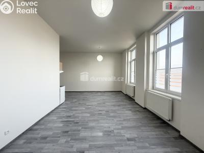 Rent apartment 2+KK Modlany č. 3
