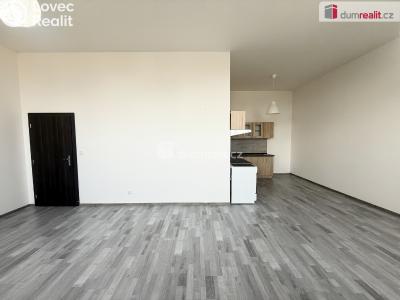 Rent apartment 2+KK Modlany č. 4