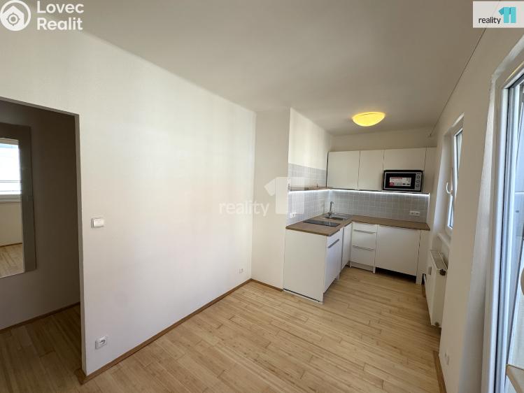 Pronájem bytu 1+1 Praha 3, V Horní Stromce č. 2