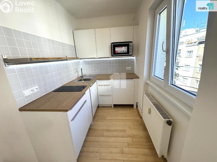 Pronájem bytu 1+1 Praha 3, V Horní Stromce č. 3