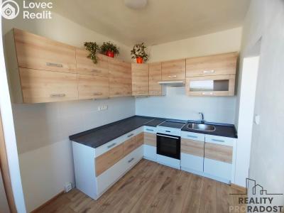 Prodej bytu 1+1 Hodonín, Luční č. 1