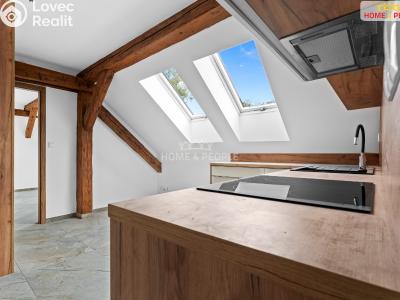 Rent apartment 3+KK Chrášťany č. 5