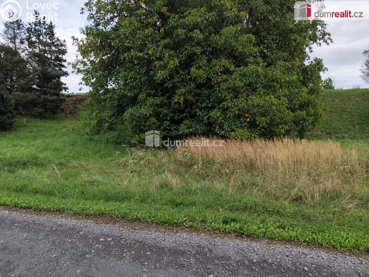 Prodej rodinného domu Karlovice č. 14