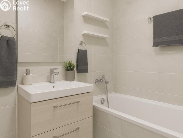 Prodej bytu 3+1 Sokolov, Mánesova č. 9