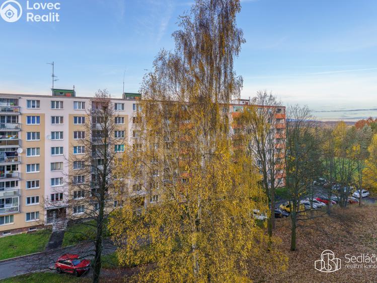 Prodej bytu 3+1 Sokolov, Mánesova č. 31