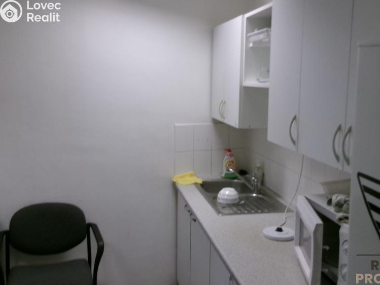 Аренда офисного помещения Brno č. 3