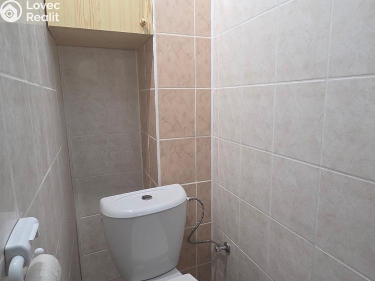 Rent commercial space Hodonín, Štefánikova č. 9