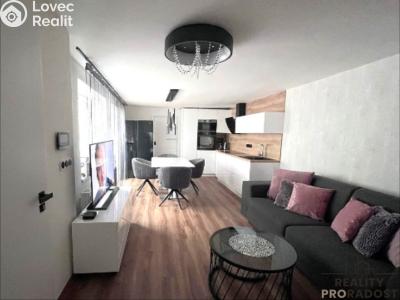 Rent apartment 2+KK Velké Pavlovice č. 5