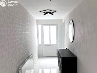 Оренда квартири 2+KK Velké Pavlovice č. 4