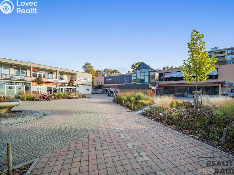 Pronájem bytu 1+KK Pardubice, Ohrazenická č. 13