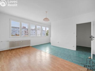 Rent apartment 1+KK Pardubice, Ohrazenická č. 1