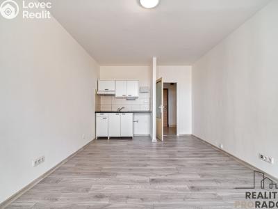 Rent apartment 1+KK Ostrava, Lechowiczova č. 1