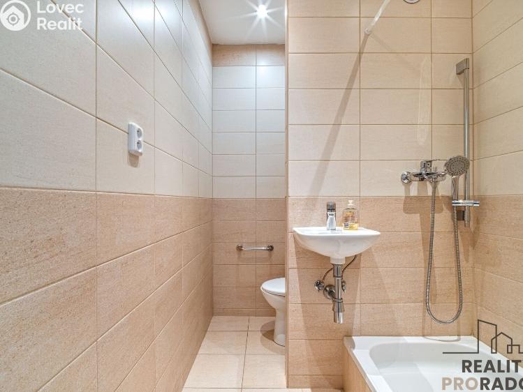 Pronájem bytu 1+1 Ostrava, U Haldy 1539/54 č. 10