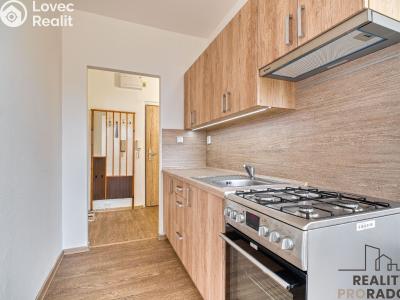 Оренда квартири 1+1 Ostrava, U Haldy č. 1