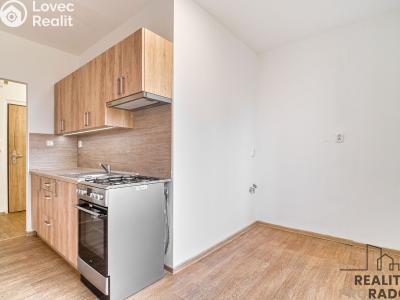 Оренда квартири 1+1 Ostrava, U Haldy č. 2