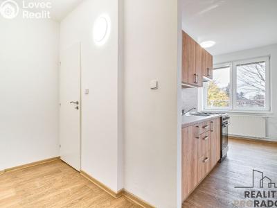 Оренда квартири 1+1 Ostrava, U Haldy č. 4