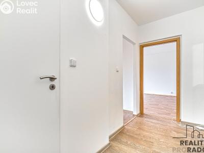 Оренда квартири 1+1 Ostrava, U Haldy č. 5