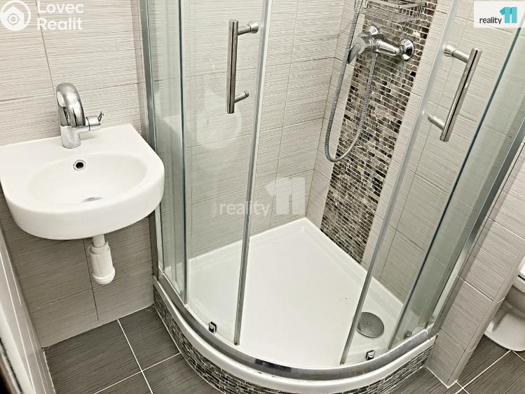 Pronájem bytu 1+1 Plzeň, Nýřanská č. 8