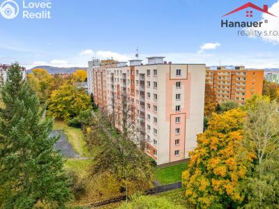 Sale apartment 2+1 Ústí nad Labem, Šípková č. 1
