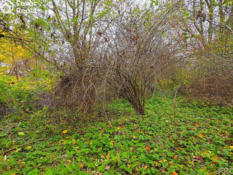 Prodej rodinného domu Uhřice č. 29