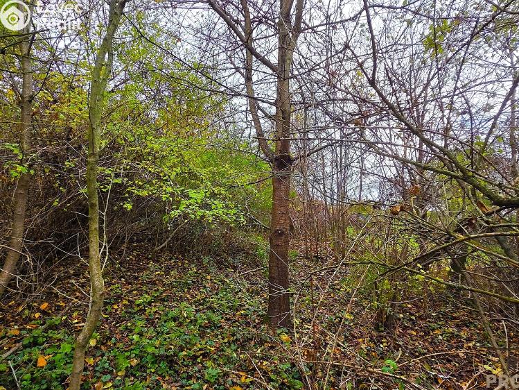 Prodej rodinného domu Uhřice č. 30