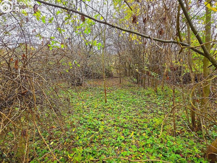 Prodej rodinného domu Uhřice č. 31