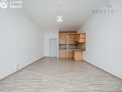Sale apartment 1+KK Ostrava, Hornopolní č. 2