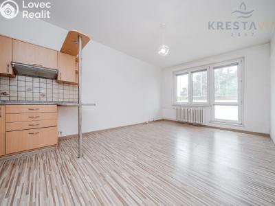 Sale apartment 1+KK Ostrava, Hornopolní č. 5