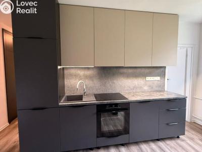 Sale apartment 3+KK Ostrava, Větrná č. 2