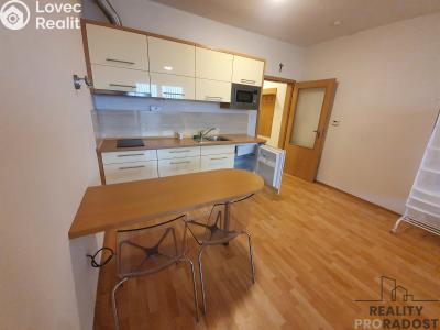 Rent apartment 1+KK Kroměříž, Mánesova č. 1