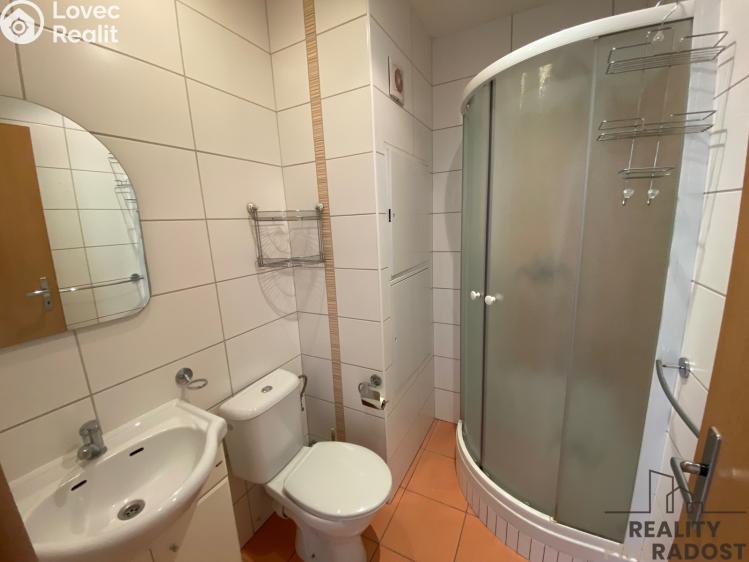 Pronájem bytu 3+1 Bystřice pod Hostýnem, Bělidla č. 2