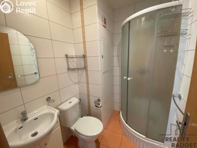 Rent apartment 3+1 Bystřice pod Hostýnem, Bělidla č. 2