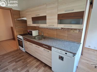 Rent apartment 2+1 Děčín, Teplická č. 2