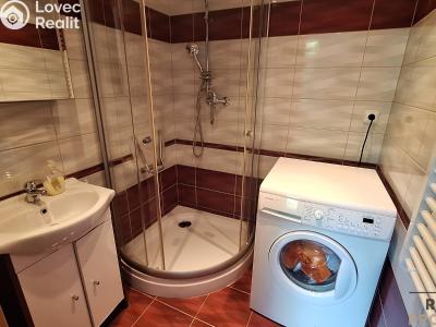 Rent apartment 2+1 Děčín, Teplická č. 4