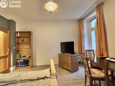 Rent apartment 1+KK Praha, Donská č. 1
