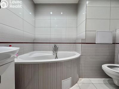 Rent apartment 3+1 Praha, Kuželova 579 č. 2