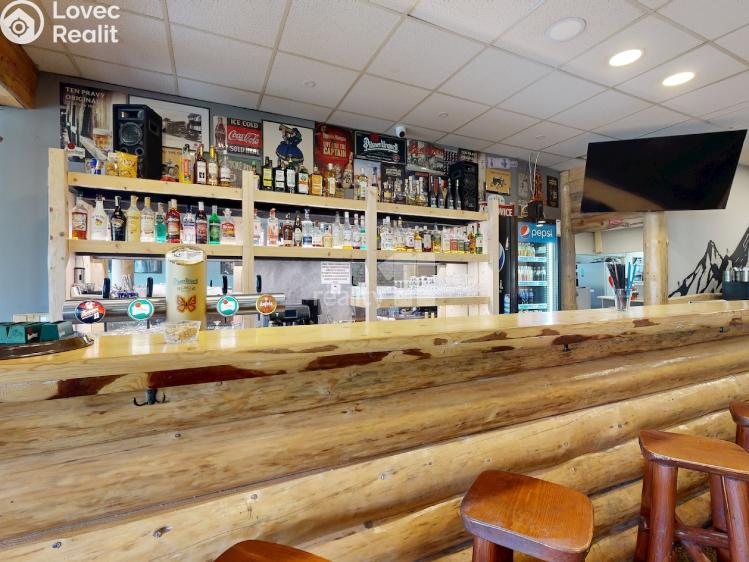 Pronájem ubytovacího zařízení Loučná pod Klínovcem č. 14