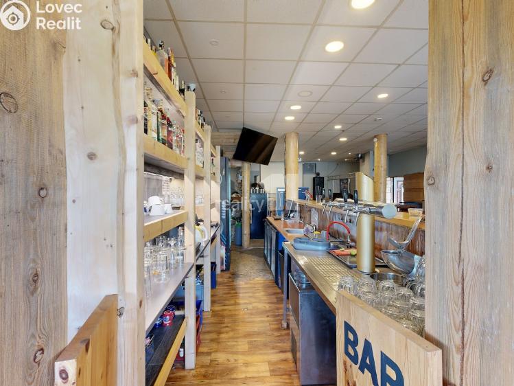 Pronájem ubytovacího zařízení Loučná pod Klínovcem č. 15