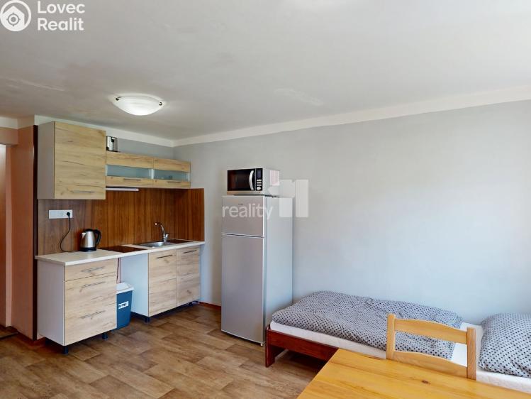 Pronájem ubytovacího zařízení Loučná pod Klínovcem č. 9