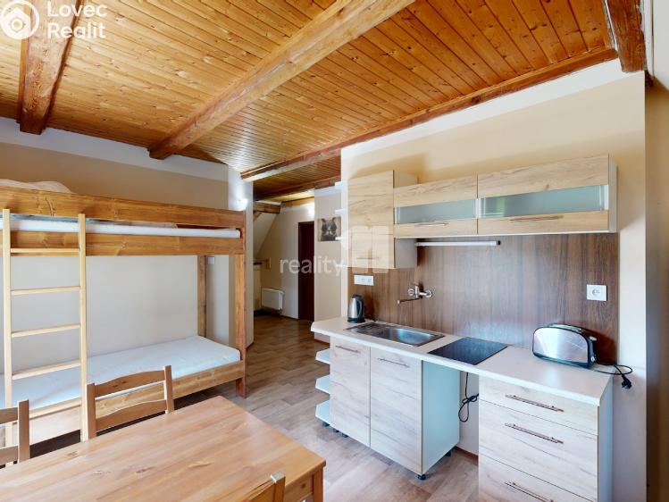 Pronájem ubytovacího zařízení Loučná pod Klínovcem č. 20