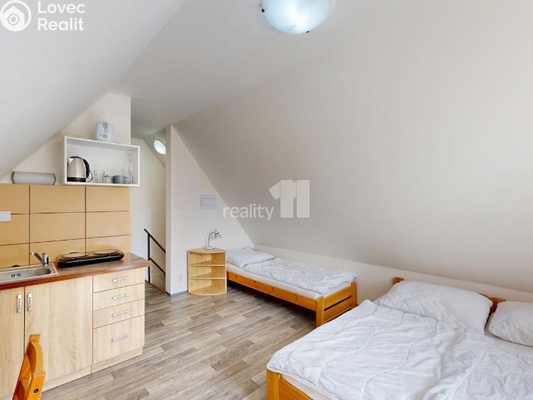 Pronájem ubytovacího zařízení Loučná pod Klínovcem č. 21