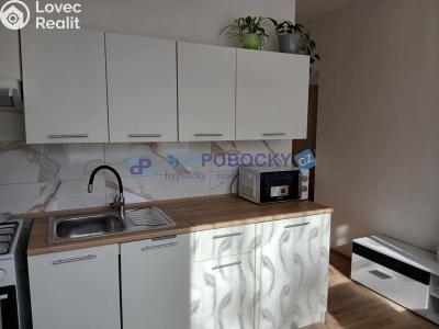 Продажа квартиры 1+1 Havlíčkův Brod, Žižkov II č. 2