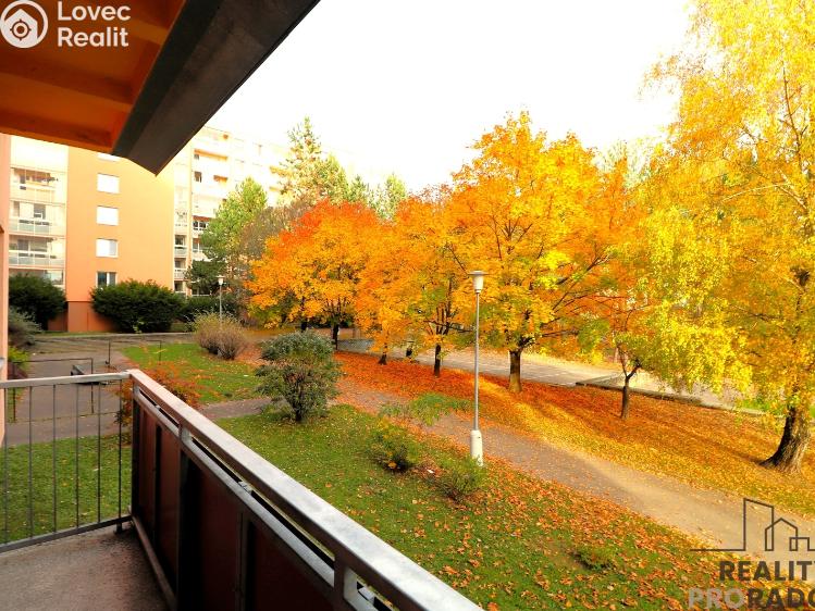 Pronájem bytu 3+1 Brno, Krymská č. 9