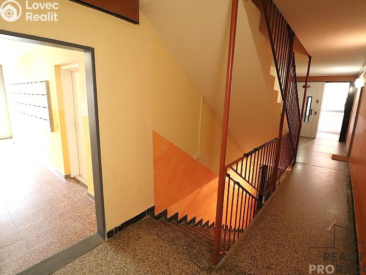 Pronájem bytu 3+1 Brno, Krymská č. 11