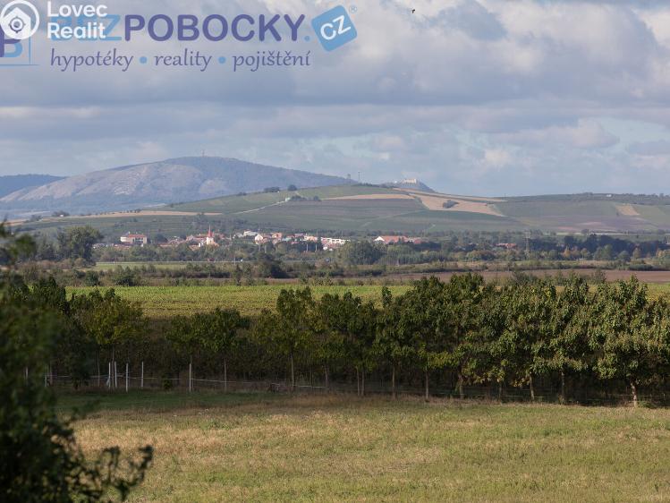 Prodej bytu 3+1 Velké Bílovice, Široká č. 14