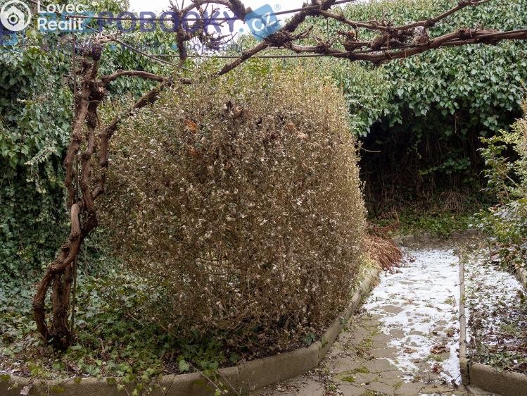 Prodej rodinného domu Třebíč č. 23